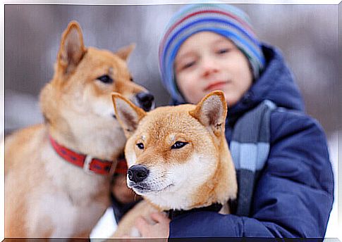 child-with-dogs