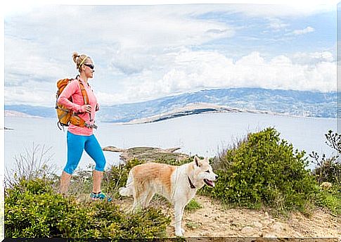 among the summer activities to do with your dog, trekking is one of the healthiest