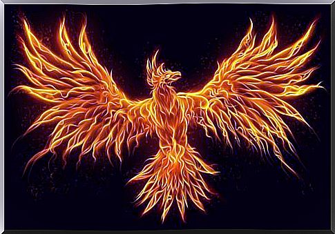 Phoenix on fire