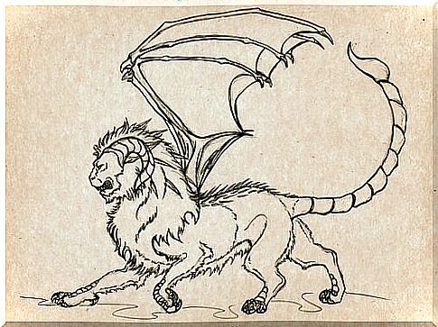 Manticore drawn on parchment