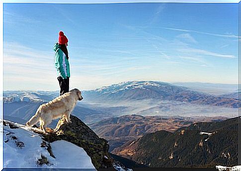 Climbing with the dog among dangerous sports