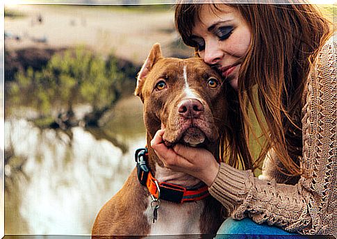 Girl with her dog