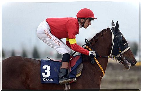 a jockey in the saddle during a gallop race