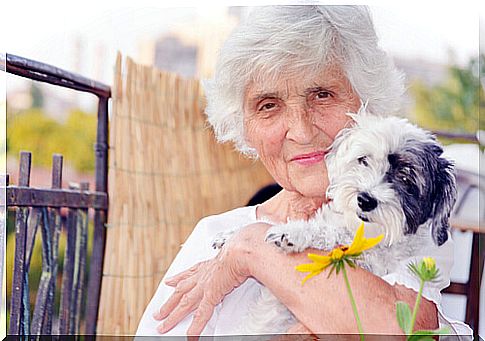 dogs-and-the-elderly