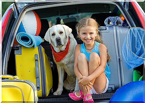 dog with little girl and suitcases in the trunk