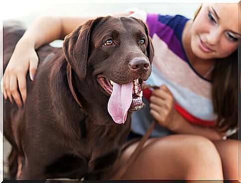 Dogs trained for women who are victims of violence