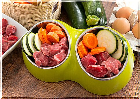 Bowls full of meat and vegetables