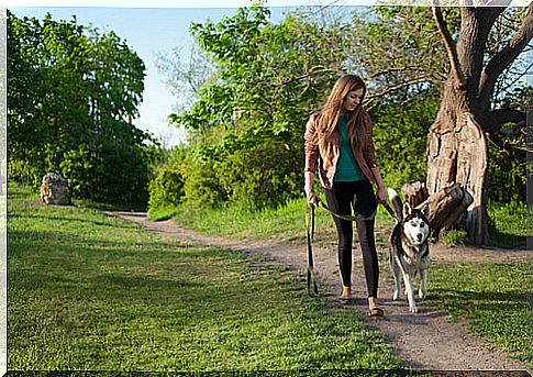 girl takes husky for a walk