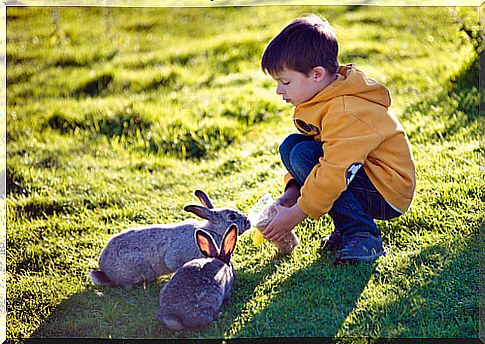 child-with-rabbits