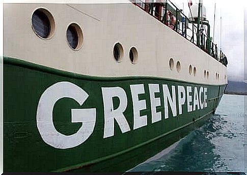 Greenpeace ship