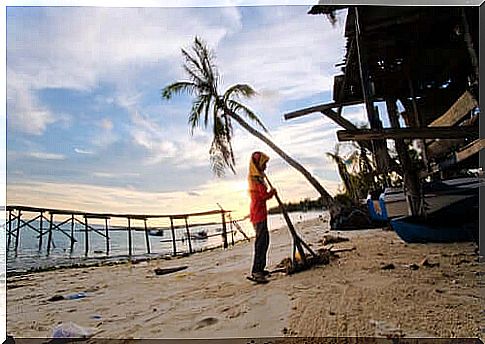 Girl cleans a beach