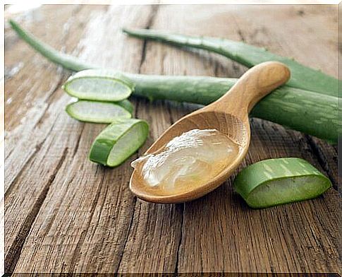 Aloe vera gel in a wooden spoon