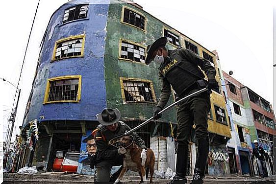 police-intervention-stray-dogs