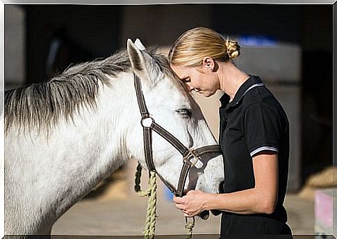 girl leans forehead on head of white horse